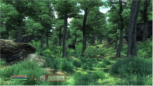 Elder Scrolls IV Oblivion PS3_4