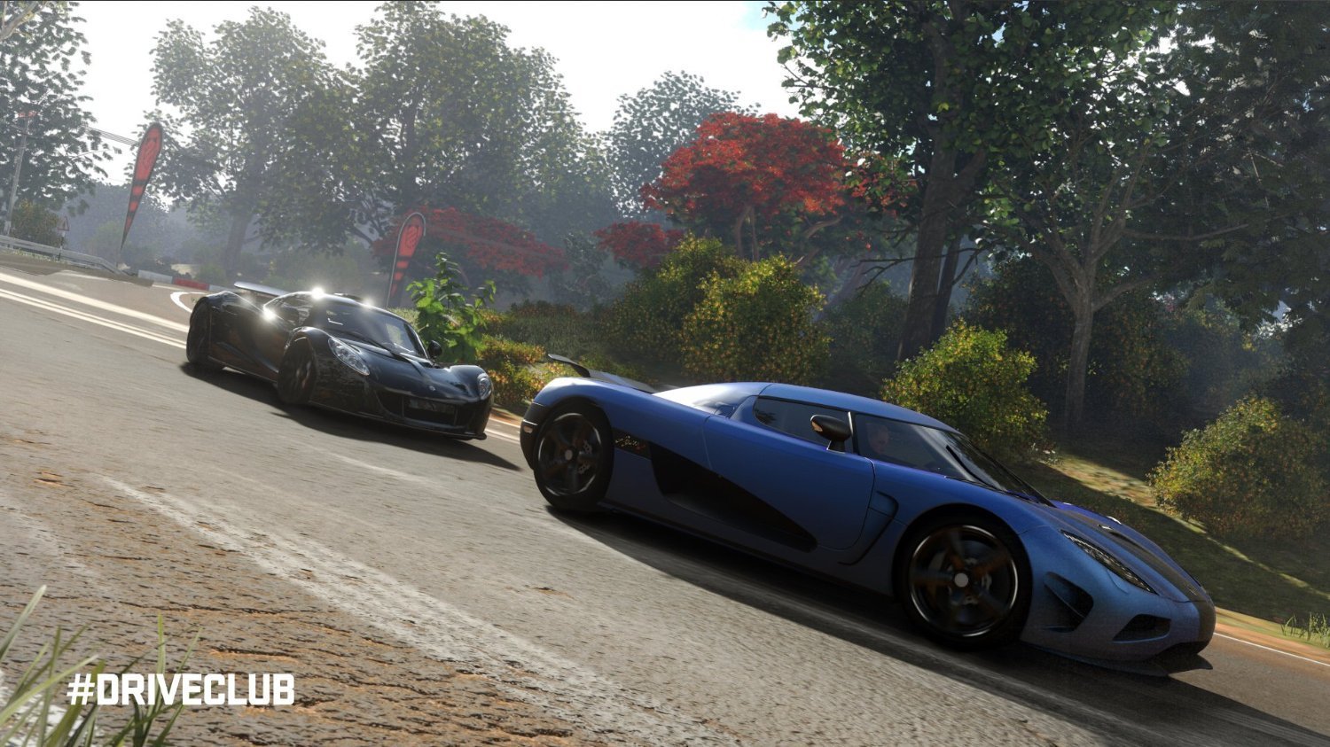 Driveclub PS4_1
