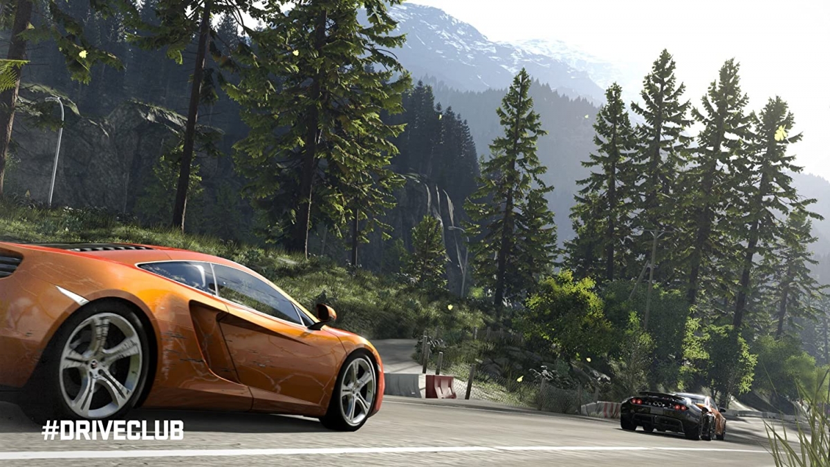 Driveclub PS4_4