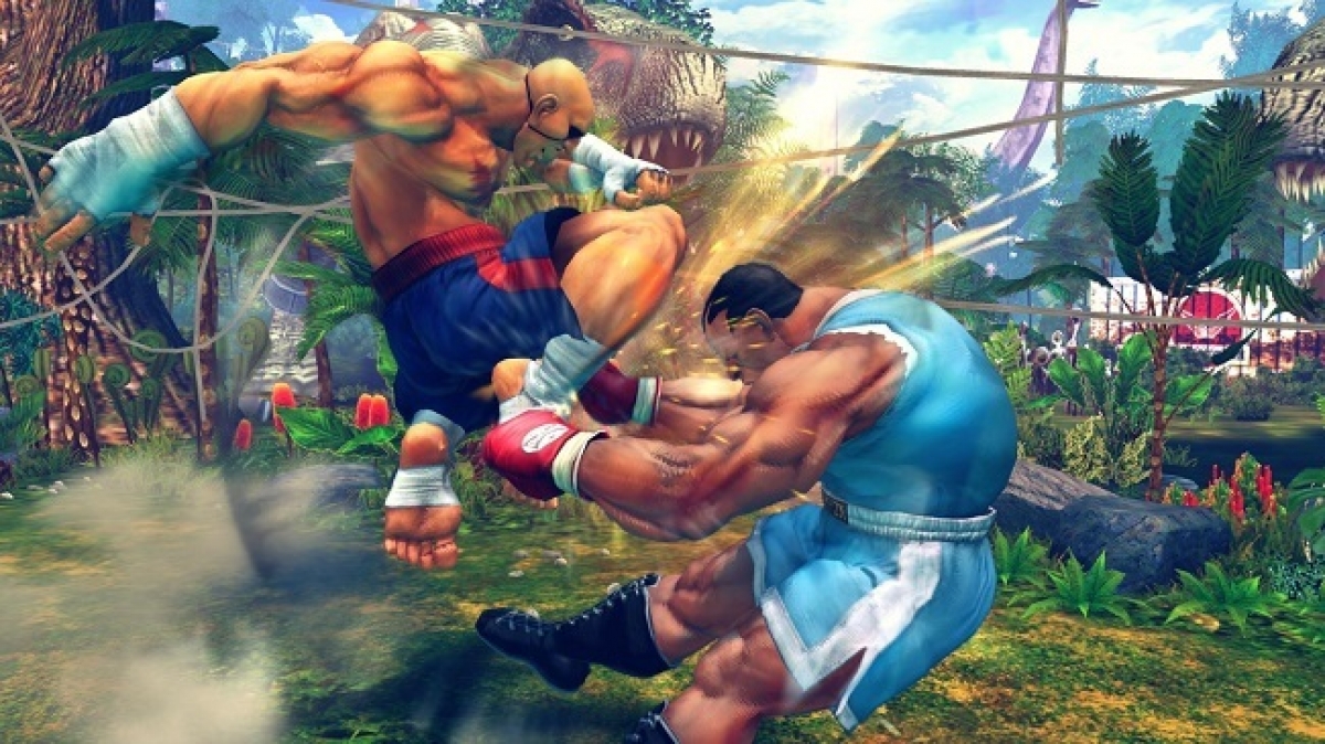 Ultra Street Fighter IV PC (Digital)_4