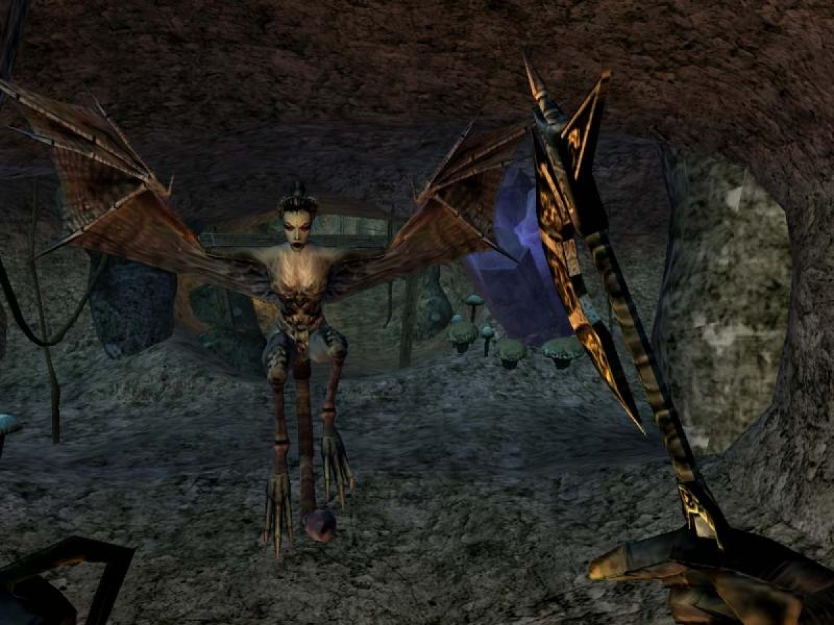 The Elder Scrolls III: Morrowind® Game Of The Year Edition PC (Digital)_4
