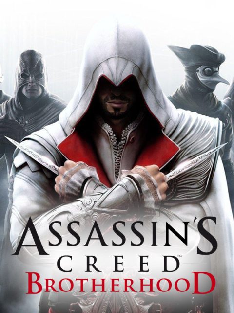Assassins Creed Brotherhood cover art