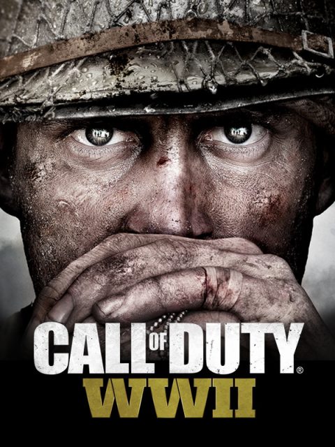 Call of Duty Wwii cover art
