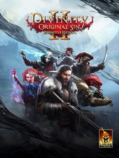 Divinity Original Sin 2 Definitive Edition cover art