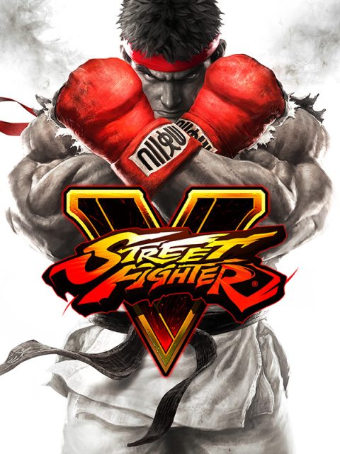 Street Fighter V cover art