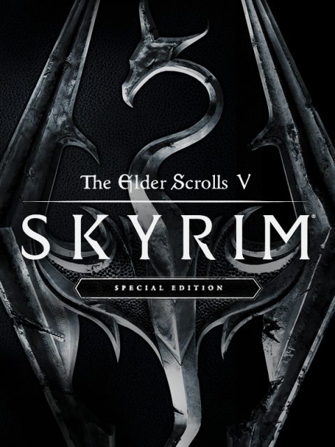 The Elder Scrolls V Skyrim Special Edition cover art